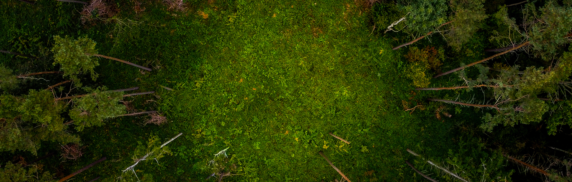 浙江东杰冷却塔有限公司